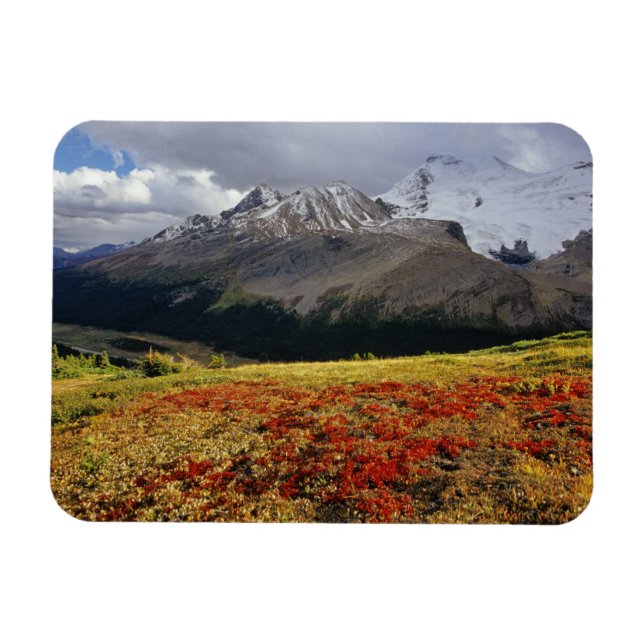 Björnbär i tidig höst Athabasca Peak i den Magnet (Horisontell)