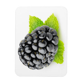 Björnbär och mynta magnet