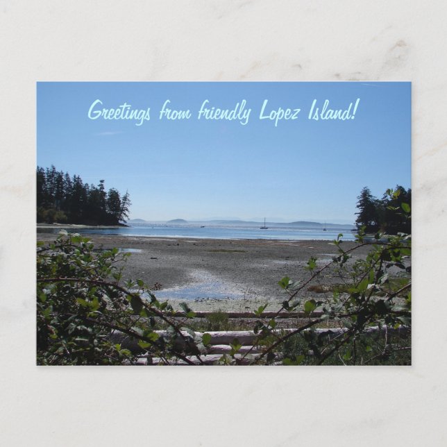 Björnbär på Lopez Vykort (Framsida)