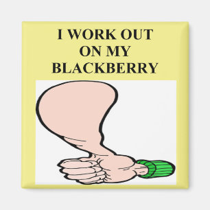 björnbäraddicr magnet