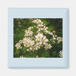 Björnbärsblomning Magnet