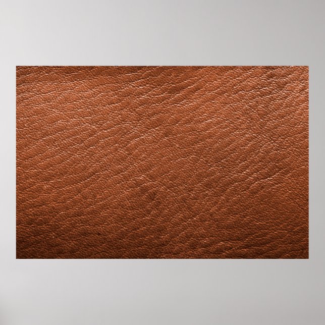 Björnbeklädnad av läder poster (Framsidan)