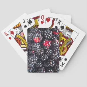 Björnbjörn Casinokort
