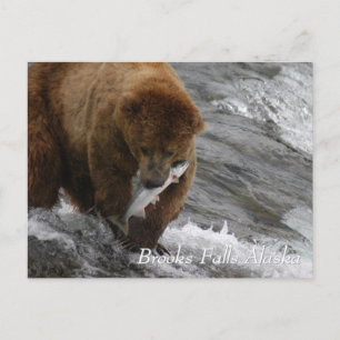 Björnbjörn fångade lax i Brooks Falls Alaska Vykort