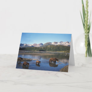 Björnbjörn, grizzlybjörn, suggor och unge i kort