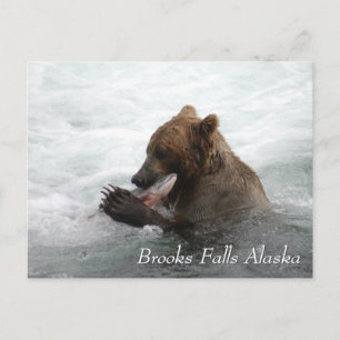 Björnbjörn som äter lax i Brooks Falls Alaska Vykort