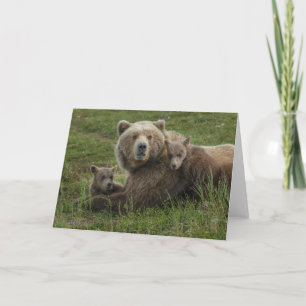 Björnbjörn Unge Cudling med Mor Kort