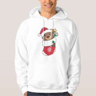 Björnbjörnar i Snö vid jul Hoodie