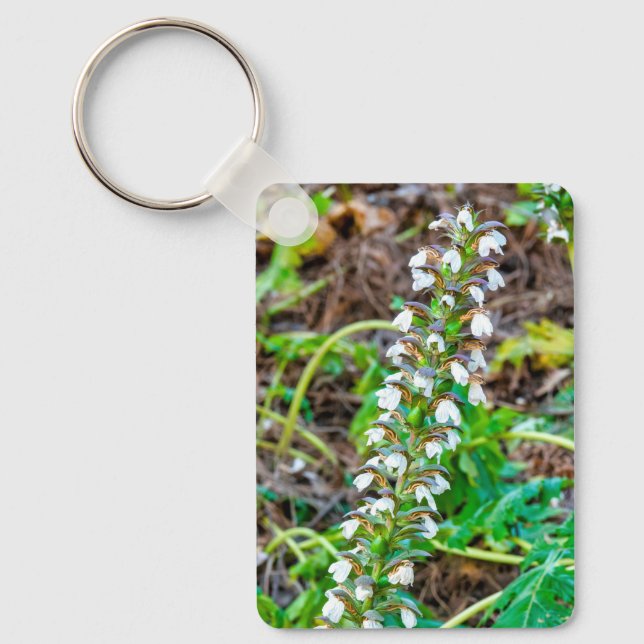 Björnbröd Nyckelring (Framsida)