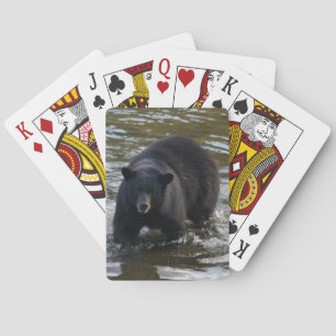 Björndekan Casinokort