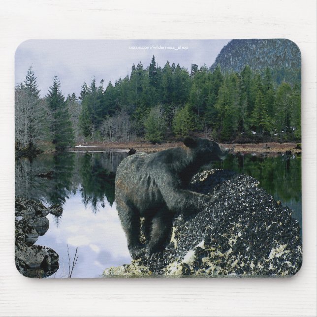 Björndesign för djur- och viltlevande bärare musmatta (Framsidan)