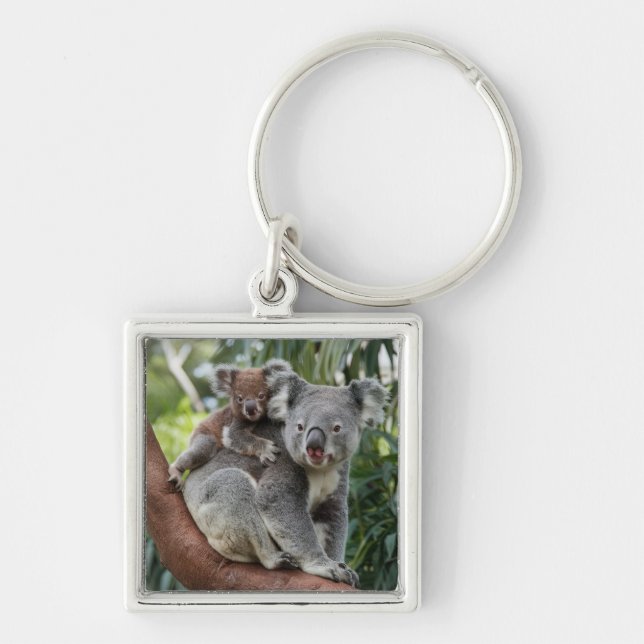 Björnen mor och Baby Koala Fyrkantig Silverfärgad Nyckelring (Framsidan)
