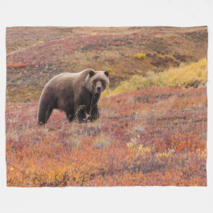 BjörnflyttningDenali nationalpark, Alaska i Fleecefilt
