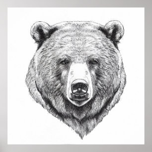 Björngrizzly Vild Nature Animal Illustration Art Poster