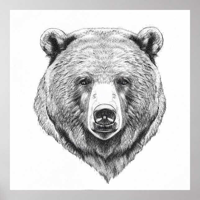 Björngrizzly Vild Nature Animal Illustration Art Poster (Framsidan)
