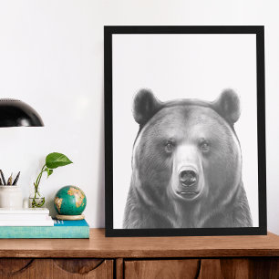 Björnhuvud Porträtt Svartvit Poster