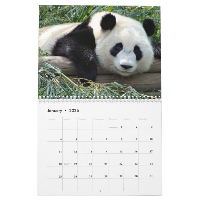 Björnkalender Kalender (Jan 2026)