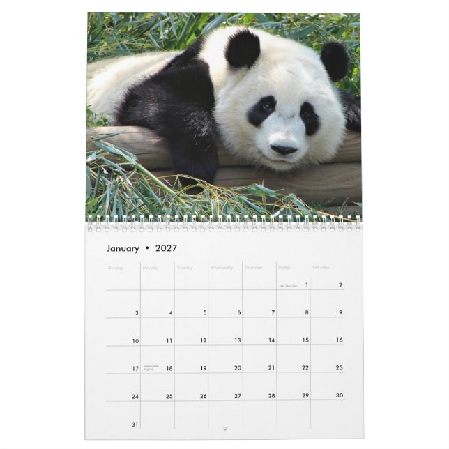 Björnkalender Kalender (Jan 2027)