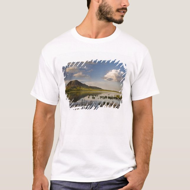Björnknappen reflekteras i Björnknappen Sjö nära Tee Shirt (Framsida)