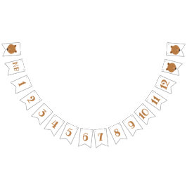 Björnmånad första födelsedag vimplar