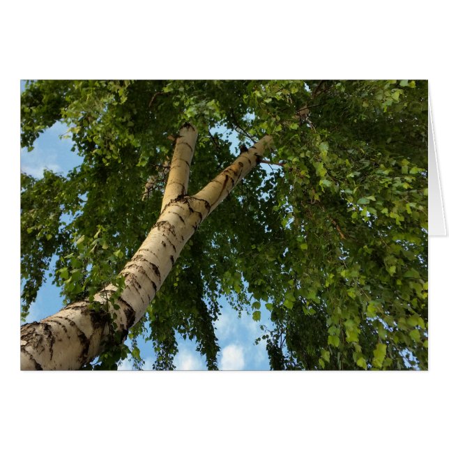 björnparaply hälsningskort (Framsidan Horizontal)