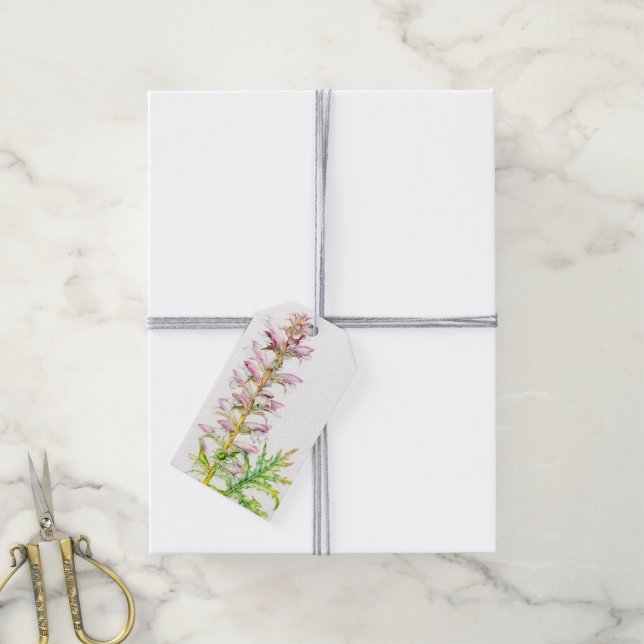 Björns märkre av rosa blommans vattenfärgsplagg presentetikett (Med Snöre)