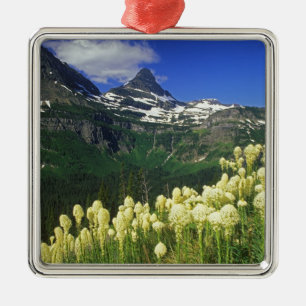 Björnsläktet gräs vid Logan Pass i Glacier Nationa Julgransprydnad Metall