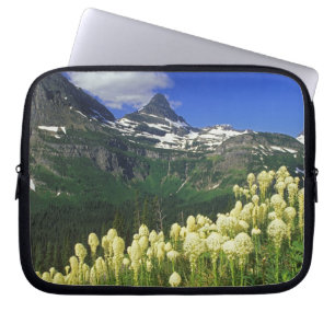 Björnsläktet gräs vid Logan Pass i Glacier Nationa Laptop Fodral