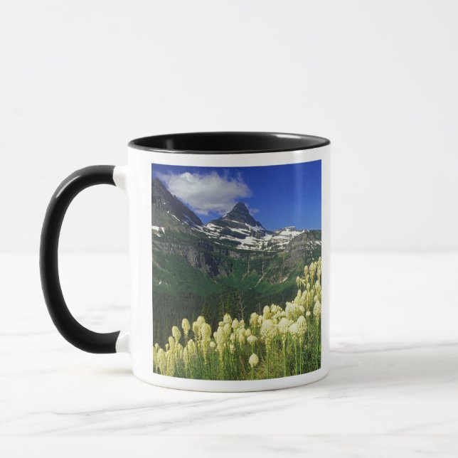 Björnsläktet gräs vid Logan Pass i Glacier Nationa Mugg (Vänster)