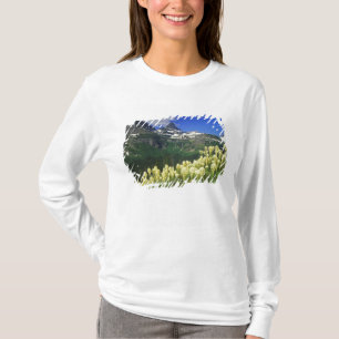 Björnsläktet vid Logan Pass i Glacier National Par T Shirt