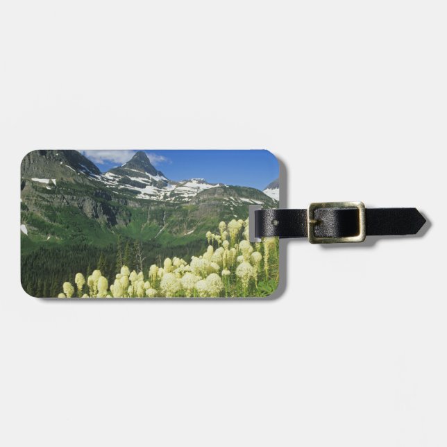 Björnslingor nära Logan Pass i Gacier National Bagagebricka (Horisontell Framsida)
