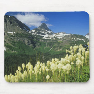 Björnslingor nära Logan Pass i Gacier National Musmatta