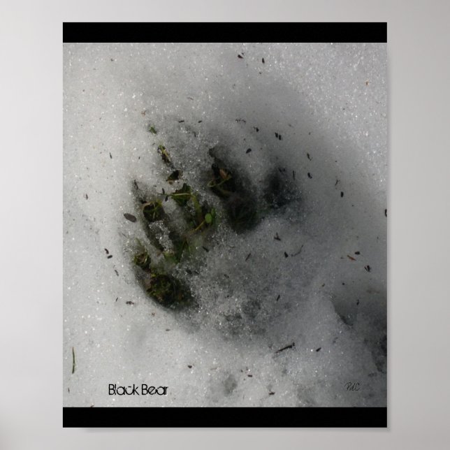 Björnspårsposter Poster (Framsidan)