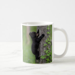 Björnunge som klättrar i ett träd kaffemugg
