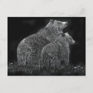 Björnväxlar Scratchboard Black and White Art Vykort