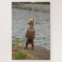 Björsduk, Brooks Falls Alaska