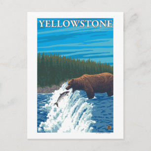 Björsfiske i floden - Yellowstone National Vykort