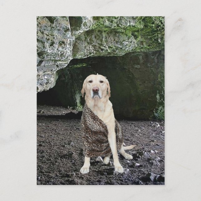 Bjud in man Cave Inbjudan Vykort (Framsida)