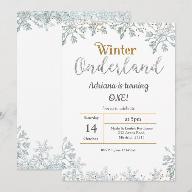 Bjud på födelsedagen i Silver Winter Onederland Inbjudningar (Fram/baksida)