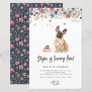 Bjud på Fransken Bulldog-födelsedag för Cute Water