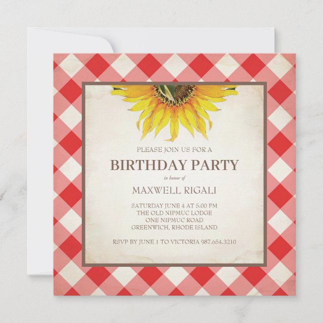 BK Birthday Red Gingham Skriv ut Inbjudningar (Framsida)