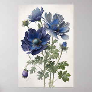 Blå Anemon Blommor Konsttryck Poster