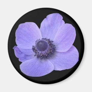 Blå Anemone Flower Magnet