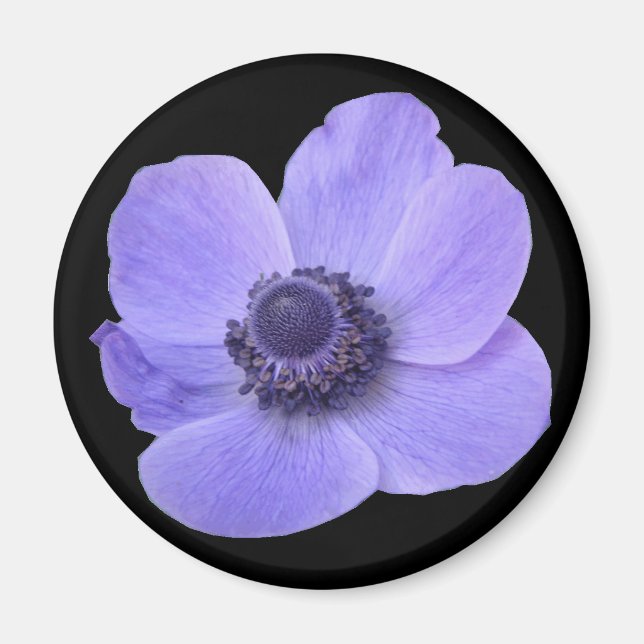 Blå Anemone Flower Magnet (Framsidan)