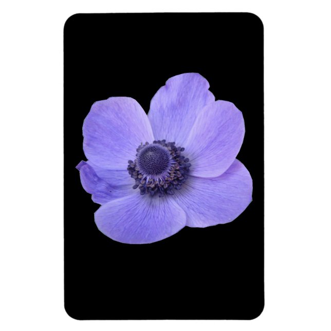 Blå Anemone Premium Magnet (Vertikal)