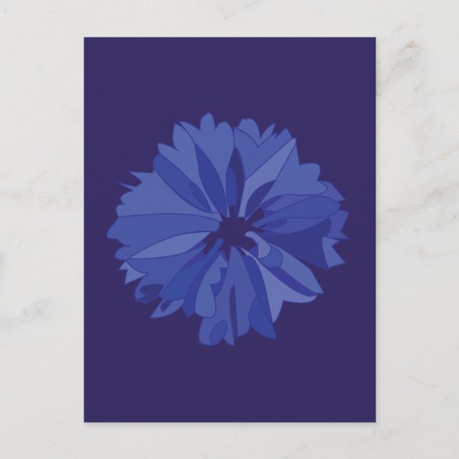 Blå ängsvädd blomster mönster vykort (Framsida)