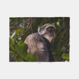 Blå apa, Zanzibar Fleecefilt