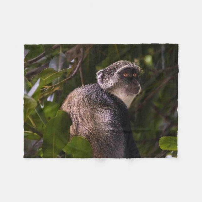 Blå apa, Zanzibar Fleecefilt (Framsidan (Horisontell))