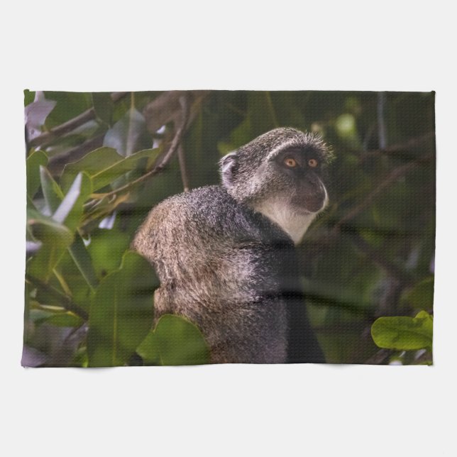 Blå apa, Zanzibar Kökshandduk (Horisontell)