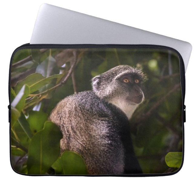 Blå apa, Zanzibar Laptop Fodral (Framsidan)